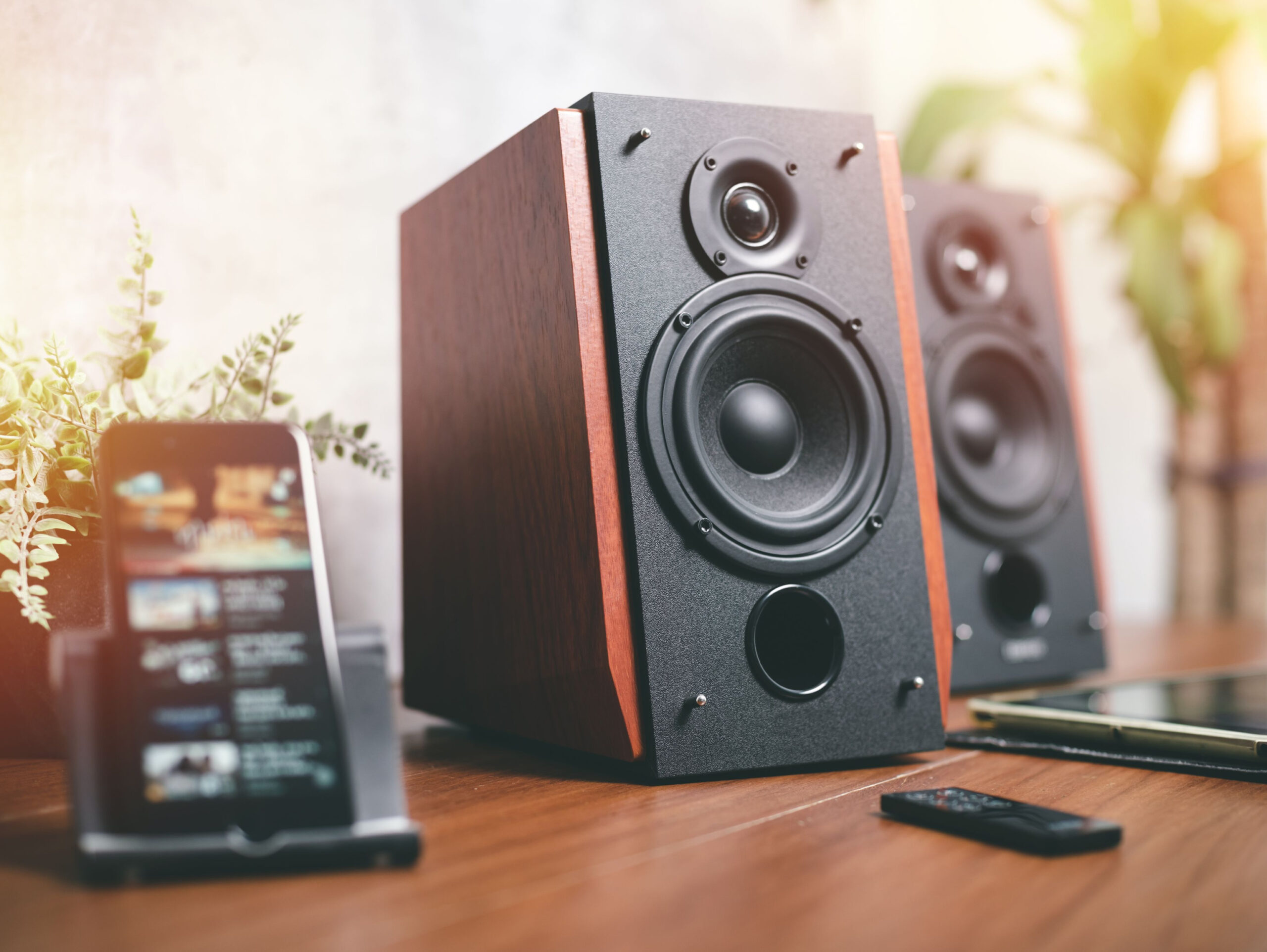 Audiophilia 